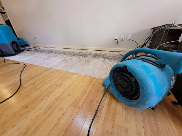 Professional Flood Damage Cleanup technician working in Albertson, NY